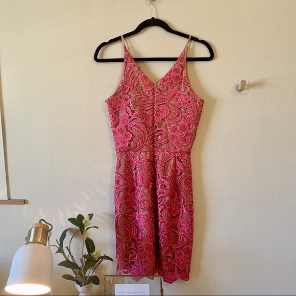 Pink Lace Dress the Population Cocktail Dress - Picture 4 of 5